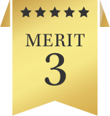 MERIT 3